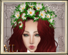 [ML]Daisy's crown