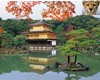 Japanese Gardens 18
