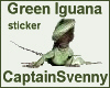 [ALP] green iguana