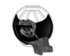 Kissing Chair