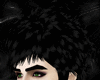 Black Ramon Hairstyle