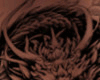 Dragon Coil R Side Tat 3
