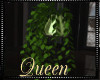 !Q My Ivy Plant
