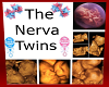 The Nerva Twins
