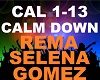 Selena Gomez - Calm Down