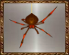 SB~Golden Brown Spider