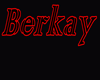 NK | Berkay Sign