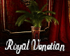 Royal Venetian Fern