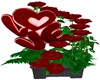 Love Roses Valentine Day