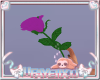Kids f / m Purple Rose
