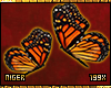 Head Monarchs