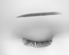 My brows :3