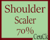 ₢ Shoulder 70%
