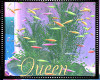 !Q Neon Fishtank
