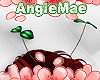 AM* Plant Antennae