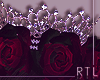 R| Diamond Crown |Sere