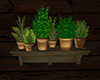 GL-Shelf with Plants