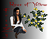 !fZy! P Rose O Yellow 1