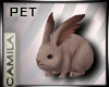 DER! Bunny Pet 