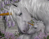 ~*Animated frame Unicorn