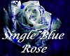 single blue rose bannor1