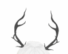 yinyang horns blk
