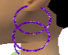 Purple double hoops