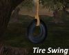 Tire Swing