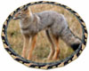 Fox Large Round Rug