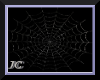 JC~Spooky Spider Web