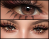Mahogany Eyes