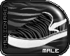|M| Male Gray Zebra