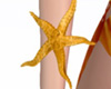 R Arm Starfish Gold