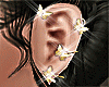 Butterfiy Earings
