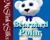 MSS Bearnard Polar