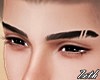 Scarred Eyebrows L