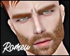 Full Beard Ginger MH