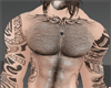 Hairy Chest w Tattoos