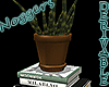 Books & Cactus Brown