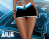 Panthers Cheer Skirt