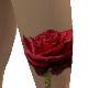 [SaT] red rose leg tatu