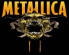 (SMR) Metallica Pic19