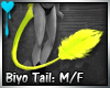 D~Biyo Tail:Yellow (M/F)