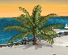 Palm Tree Short