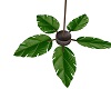 Island Ceiling Fan