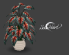 Splash Potted Plant 2