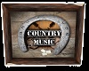 Country Music Picture 2