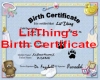 LILTHING's CERTIFICATE