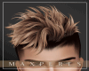 Hair Blond Perfect Men