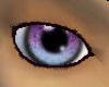 Blue/Purple Eyes